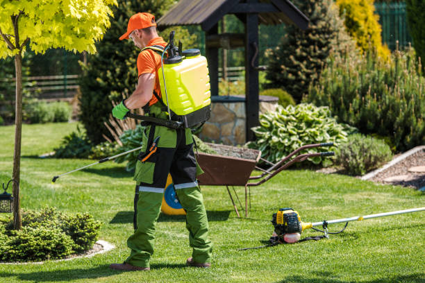 Best Fumigation Services  in Mmerce City, CO